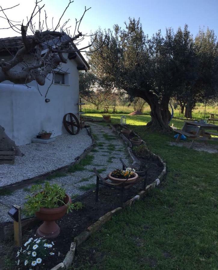 فوساتشيزيا C'Era Una Volta Podere San Giovanni المظهر الخارجي الصورة
