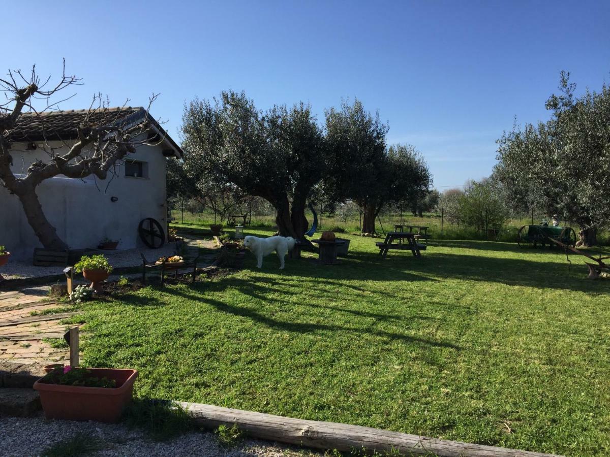 فوساتشيزيا C'Era Una Volta Podere San Giovanni المظهر الخارجي الصورة