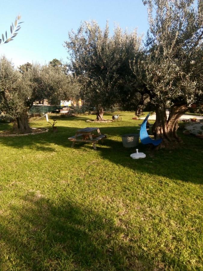 فوساتشيزيا C'Era Una Volta Podere San Giovanni المظهر الخارجي الصورة